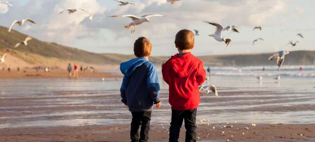 Zwei Jungen stehen am Strand und beobachten Möwen